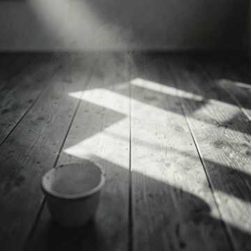 Quiet Pine Floor Remix