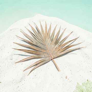 Island Breeze Sway