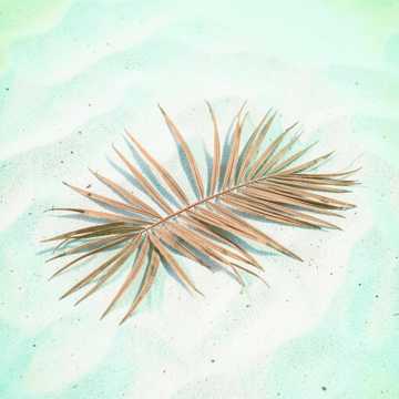 Island Breeze Sway Remix